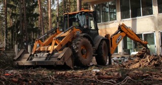 Расчистка участка Новодвинск, цена от 5184 руб.